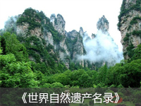 森林公園
