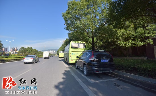 張家界最全停車位攻略，再也不擔(dān)心找不到停車位了！