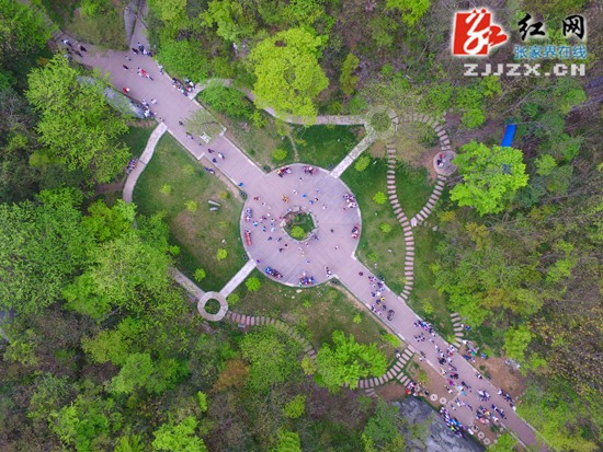 迎五一市花“鴿子花”盛開(kāi)正嬌艷