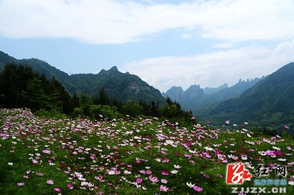 五月遇上格?；? 張家界武陵源一鄉(xiāng)村初夏風(fēng)光迷人